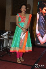 Malupu Movie Audio Launch